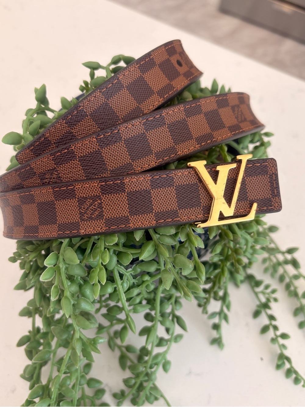 Louis Vuitton Brown Damier Canvas Belt with Gold LV Buckle - Picture 2 of 5